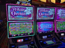 Permainan live dealer hokagetogel Permainan live dealer di hokagetogel